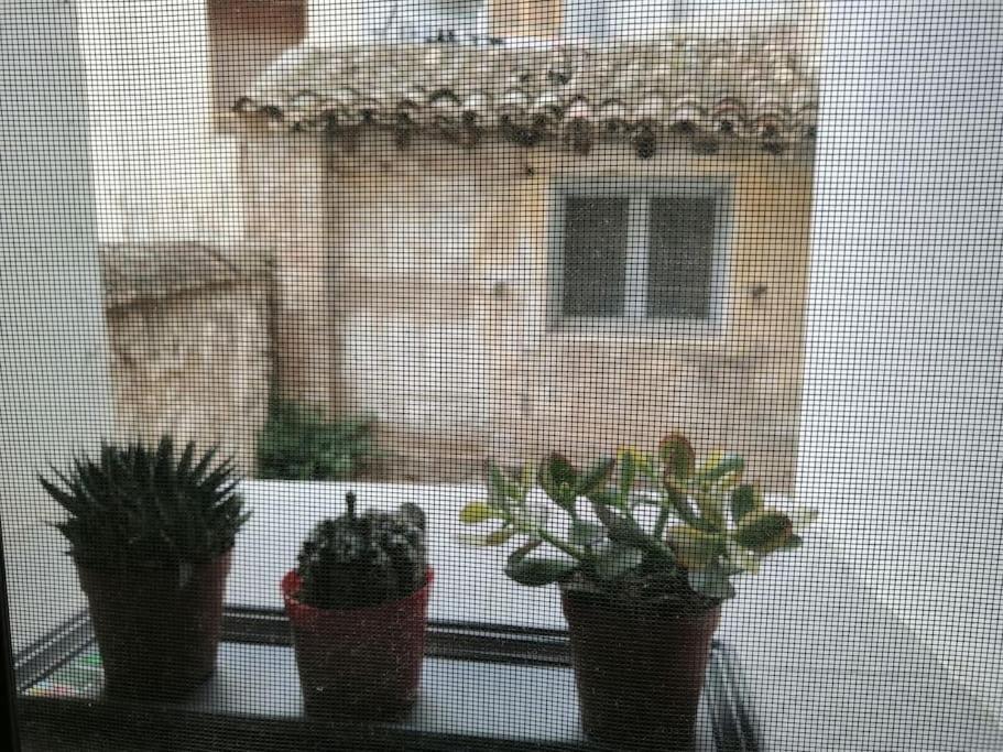 Estudio5 Tudela Luaran gambar